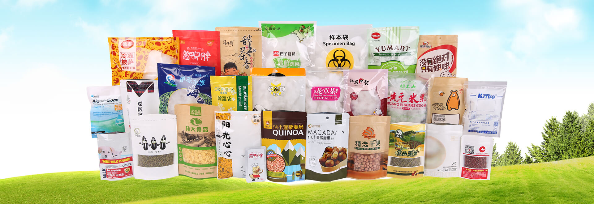 易游体育app官方下载入口